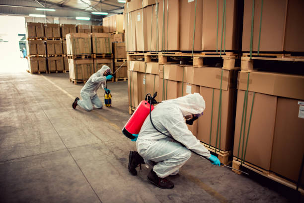 Best Termite Control Services  in Prces Lakes, IN