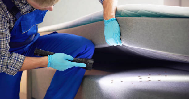 Best Cockroach Control Services  in Prces Lakes, IN