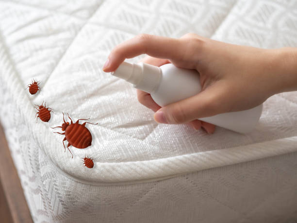 Best Local Pest Control Services  in Prces Lakes, IN