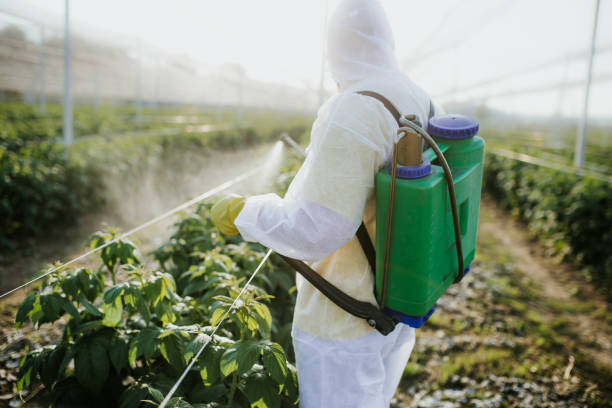 Best Pest Control for Homes  in Prces Lakes, IN